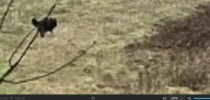 Screenshot 2025-02-11 175306.png