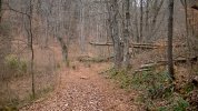 ed_locations_cabin_area_6_lbx.jpg