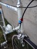 derosa5.jpg