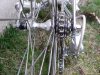 derosa7.jpg