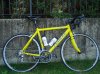 carreramamayama 001.jpg