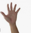 1739966066424.png