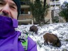 PSX_20180301_153516.jpg PSX_20180301_153516.jpg