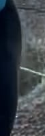 Screenshot 2025-02-20 141220.png Screenshot 2025-02-20 141220.png