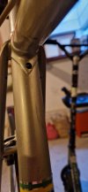 20231007_180520.jpg