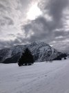 IMG_1279.jpeg