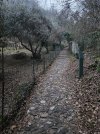 20250225_065321.jpg