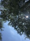 0A42FFDF-D968-41D5-80C8-4DEE11EA1768.jpeg