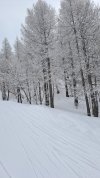 20250302_121036.jpg 20250302_121036.jpg