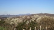 IMG_3081.JPG