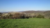 IMG_3085.JPG