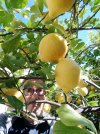 IMG_20250228_123846-01.jpeg