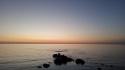 IMG-20250305-WA0009.jpeg