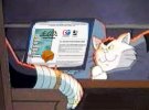 IMG_3259.jpeg