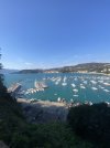 IMG_0901.jpeg