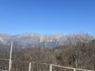 IMG_6505.jpeg