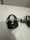 IMG_5889.jpeg