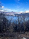 IMG_2392.jpeg
