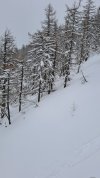 20250315_142334.jpg