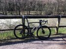IMG_1421.jpeg