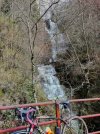IMG_20250316_101915-01.jpeg