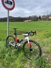IMG_7908.jpeg