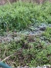 IMG_3439.jpeg IMG_3439.jpeg