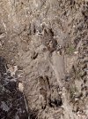 20250320_145350.jpg 20250320_145350.jpg
