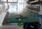 IMG_20250321_144103.jpg