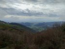 IMG20250323103006.jpg