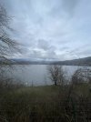 IMG_0804.jpeg