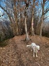20250328_165158.jpg