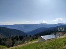 IMG20250403102841.jpg