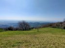 IMG20250403121023.jpg