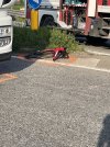 IMG_2960.jpeg