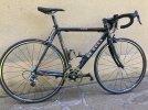 De rosa 1.jpg