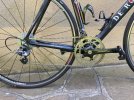 de rosa 2.jpg