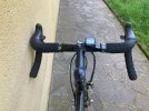 de rosa 3.jpg