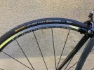 de rosa 4.jpg
