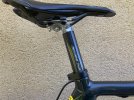 de rosa 5.jpg