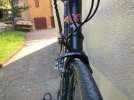de rosa 6.jpg