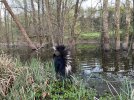 IMG_3496.jpeg