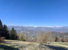 IMG20250406101704.jpg