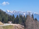 20250405_123139.jpg 20250405_123139.jpg