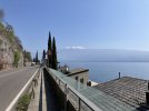 IMG_3534.jpeg