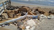 IMG-20250411-WA0004.jpeg