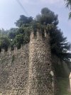 IMG_1621.jpeg