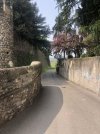 IMG_1623.jpeg