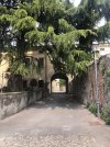 IMG_1624.jpeg