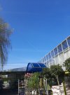 20250413_090627.jpg